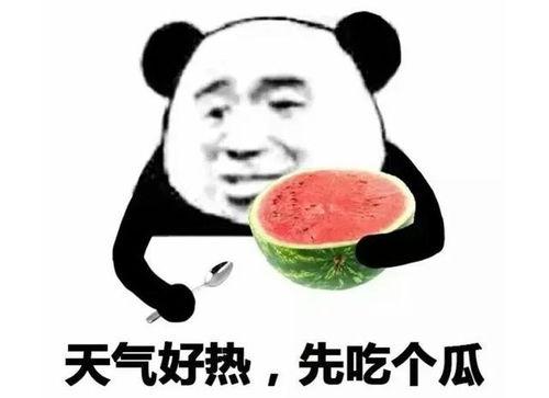吃瓜表情有什么含义,揭秘网络社交中的幽默与讽刺